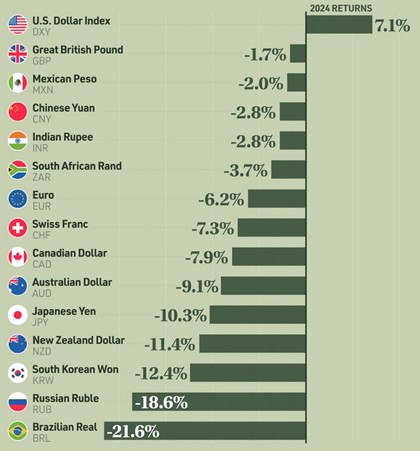 [Market Update] - U.S. Dollar vs. World Currencies December 2024 | The Retirement Planning Group